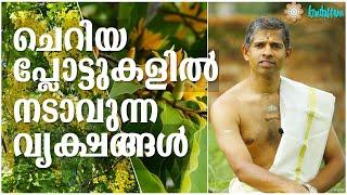 ചെറിയ പ്ലോട്ടുകളില്‍  ഈ വൃക്ഷങ്ങളാകാം | Kanippayur Vasthu