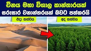 චීනය විශාල කාන්තාරයක් වනාන්තරයක් බවට පත්කරේ කොහොමද? | The Great Green Wall of China