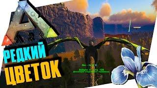 ARK: SURVIVAL EVOLVED - РЕДКИЙ ЦВЕТОК НА КАРТЕ THE VOLCANO, ДОБЫЧА МЕТАЛЛА