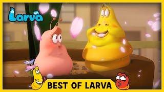 LARVA | BEST OF LARVA | Cartoons | Comics | LARVA 2017 WEEK 14