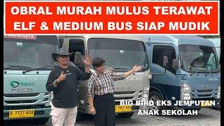 Obral Murah Kondisi Terawat Cocok Buat Mudik Bareng Keluarga Elf dan Medium Bus eks Big Bird