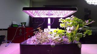 iDOO 12Pods Hydroponics Growing System update