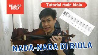 Belajar Biola, Tutorial Memainkan Tangga Nada dan Nada-nada di Biola dari 0 (LANGSUNG PAHAM)