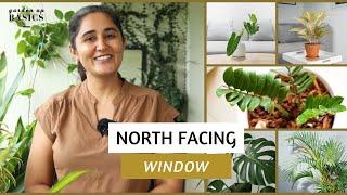 Plants for North Facing Balcony | Garden Up Basics Ep.36