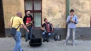 Я піду в далекі гори ( Lviv ) Street music 2