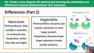Factors Affecting the Rate of Photosynthesis and Respiration (Video 7 in 2.4 Series)