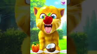 Talking Ginger Funny Videos  || talking tom || talking ginger 2 || ginger 2 game ||