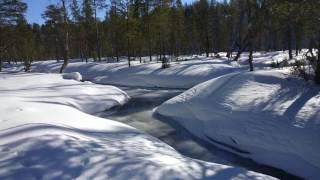 Saariselkä Winter