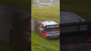 WRC RALLY CENTRAL EUROPE 2024 Show & Pure Sound #highlights #crash #rally