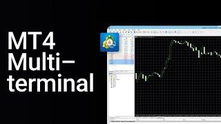 How to use the MT4 MULTITERMINAL | Manage MULTIPLE accounts on MetaTrader 4