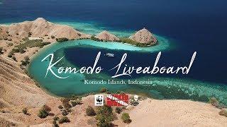 Wicked Diving - Komodo Islands Liveaboard