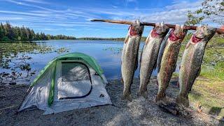 4 Days Camping and Fishing The Alaska Kenai Peninsula!