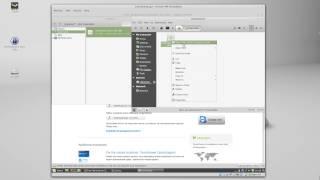 Installing Teamviewer on Linux Mint