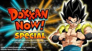 2024 DOKKAN NOW! SPECIAL (9th Anniversary)