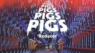 Pigs Pigs Pigs Pigs Pigs Pigs Pigs – Reducer