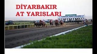 23 KASIM 2024 DIYARBAKIR ALTILI GANYAN TAHMINLERI-TJK AT YARIŞLARI (CUMARTESI)