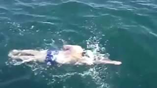 Colin Hill - 10 hours 30 mins - English Channel Swim 2009