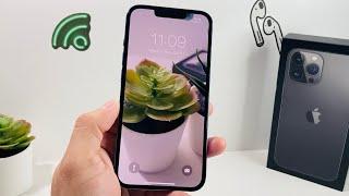 How to Set Video as Lock Screen on iPhone (2022)
