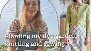 A day planting my dye and herb garden, knitting and sewing 