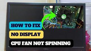 Solved - CPU Fan Not Spinning And No Display | No Signal - Causes & Fixes