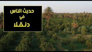 حديث الناس في دنقلا  ️