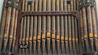 Postcolonialism and the Pipe Organ | An interview with Mr. Avinash Grubb.