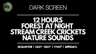 Dark Screen 12 Hours Forest Clear Night Sky Stream Creek Crickets Nature Sounds Meditation Sleep