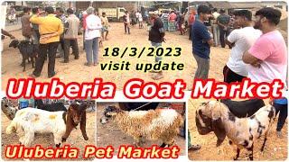 Uluberia Goat Market, Uluberia Pet Market,18/3/2023 Visit update price today.#uluberia#goat