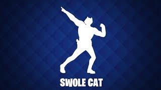 Fortnite Swole Cat (1 Hour)