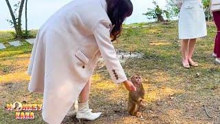 Every visitor is surprised to see the friendliness of the Monkey Kaka