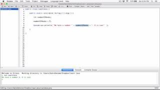 16. Concatenating strings and numbers - Learn Java