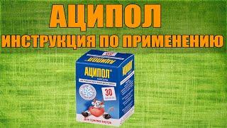 АЦИПОЛ КАПСУЛЫ ИНСТРУКЦИЯ ПО ПРИМЕНЕНИЮ ПРЕПАРАТА, ПОКАЗАНИЯ,  КАК ПРИМЕНЯТЬ, ОБЗОР ЛЕКАРСТВА