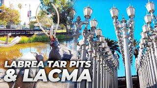 Walking Los Angeles : La Brea Tar Pits and LACMA (Los Angeles County Museum of Art)