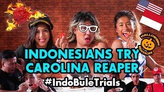 #IndoBuleTrials: Indonesians Try Carolina Reaper (feat. Rio Ardhillah)