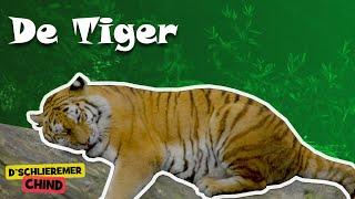 Schlieremer Chind - De Tiger | Mir gönd in Zoo