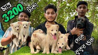 3200 টাকায় কুকুর ছানা | Konnagar Pet Market | Recent Dog Puppy Price Update | Konnagar Dog Market