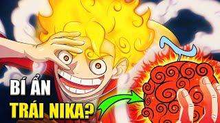 Bí Mật Thật Sự Đằng Sau Trái Nika - Trái Ác Quỷ Có Ý CHÍ? | Giả Thuyết One Piece