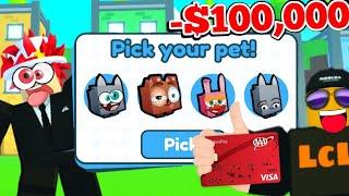 i SPENT $100,000 on SCAMMERS FAKE Pet Simulator X ROBLOX GAME (DIGITO)