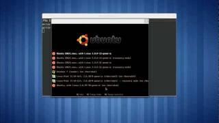 Installing BURG a GRUB based bootloader for multibooting