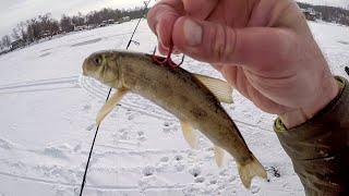 Ice Fishing Big Bait Pike And Bass!