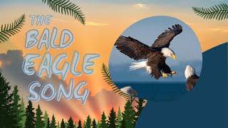 The Bald Eagle Song | Animal Songs for Kids | Bald Eagle Facts | Silly School Songs