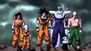 Dragonball Z -Cha la Head Cha La- (Full german OP)