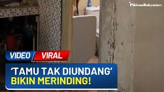 Video Viral! Pria Ini Kedatangan 'Tamu Tak Diundang' di Kamar Mandi, Netizen: Merinding Liatnya