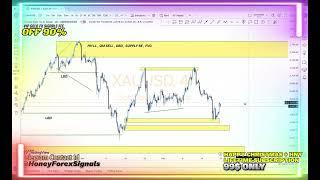 GOLD XAUUSD Weekly Forex Chart Analysis Forecast Technical + Fundamental 23 DEC 2024 #forexlive