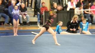 Devin's floor, state meet 3-14-15