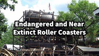 Endangered and Near Extinct Roller Coasters…