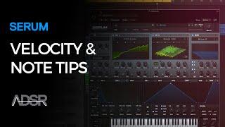 Velocity and Note Pro Tips for Serum