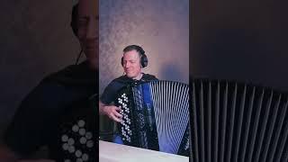 Where was this cool accordionist before? Andrey Kir.