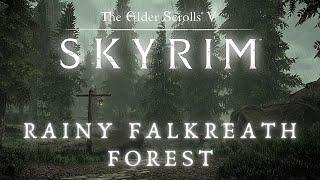 Skyrim SE 4K Music & Ambience | Walking Across Skyrim - Falkreath To Hunter's Rest | Ambient Music