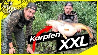 MONSTER KARPFEN am BADESEE | Ich werd verrückt!! | Karpfenangeln vom Ufer